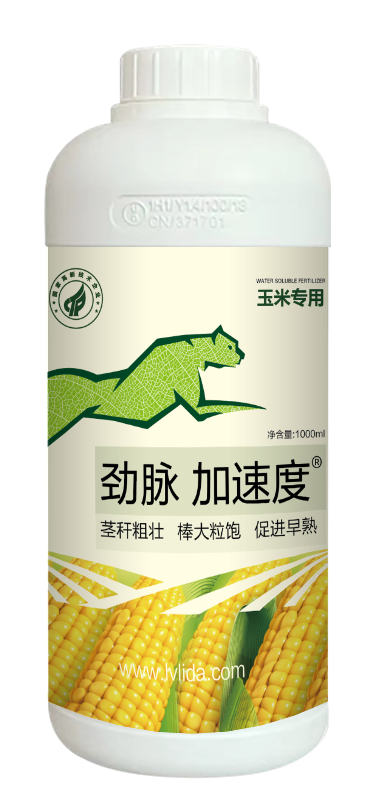加速度玉米专用.png