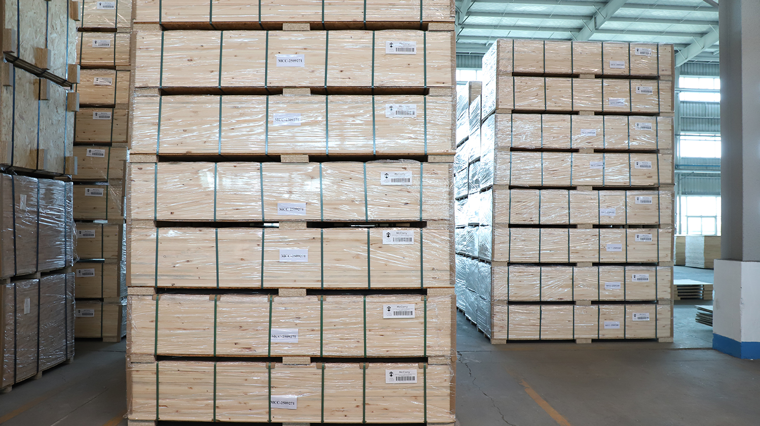 Log Conveyor System