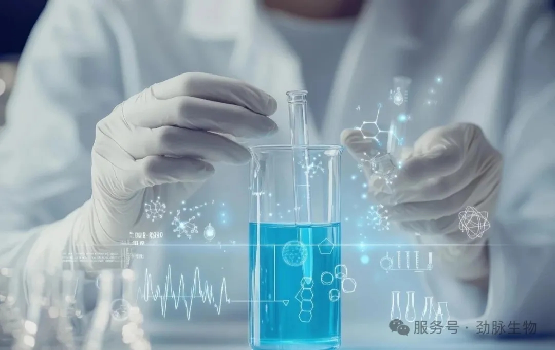 微信图片_20250802095614.jpg