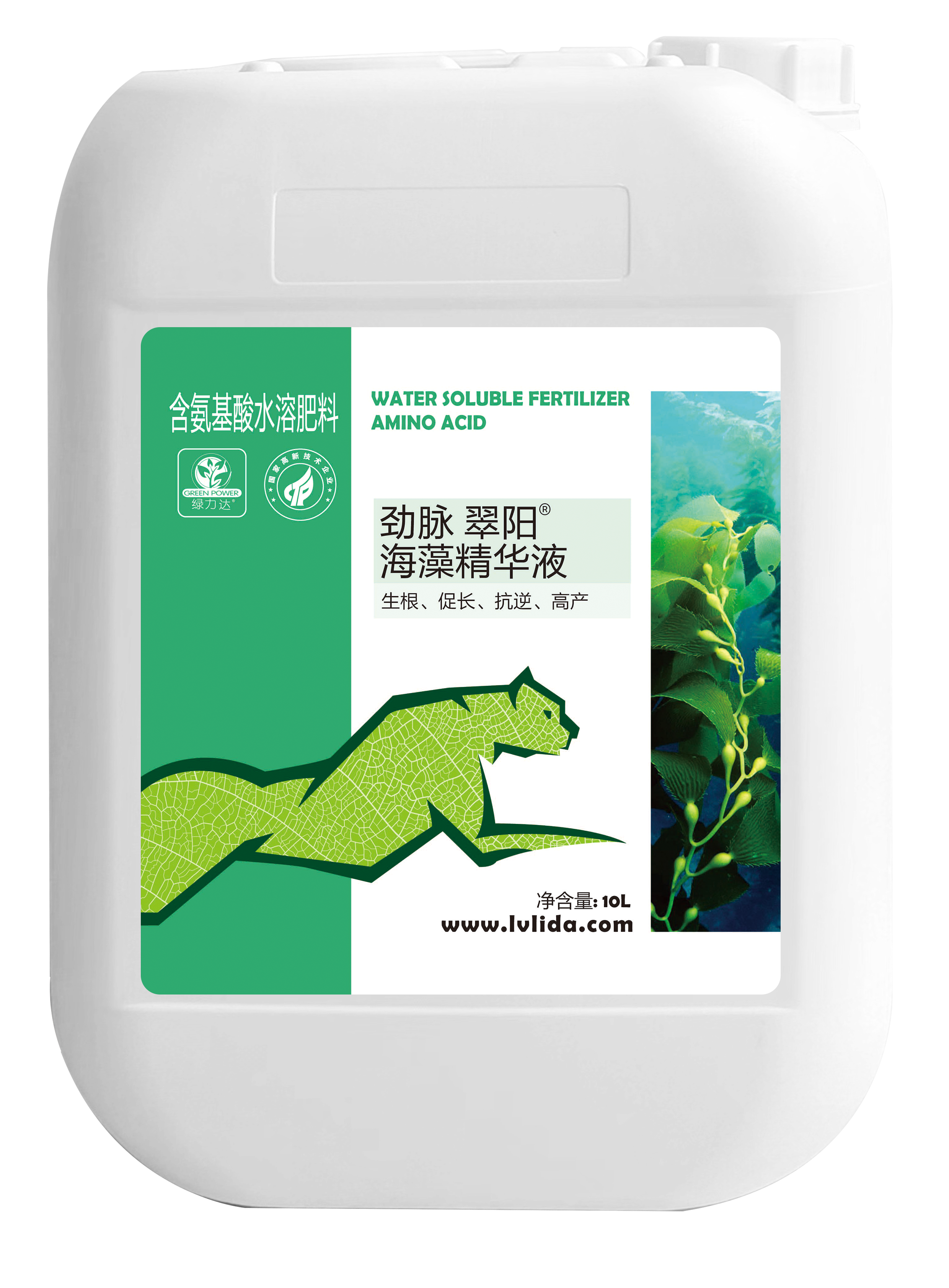 翠阳.png