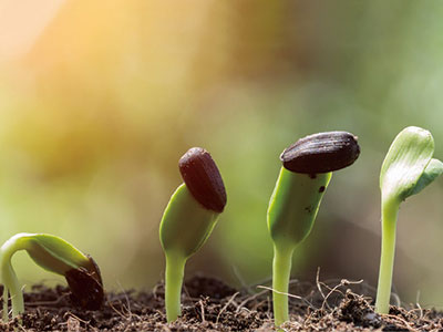 Biostimulants Enhanced Type NPK Fertilizer_03.jpg