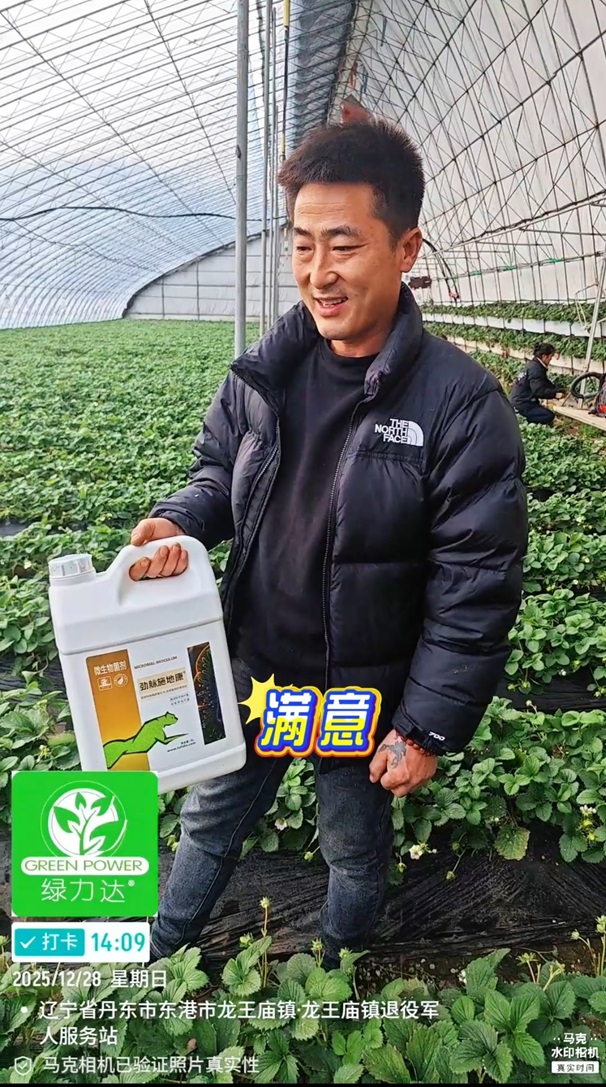 草莓使用效果--网站.jpg