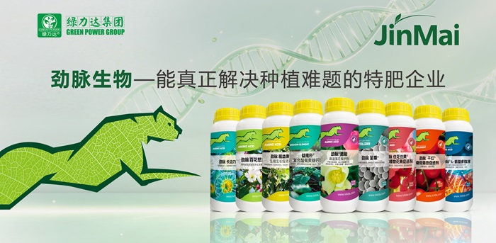 产品理念.jpg